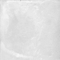 Керамический гранит Форс - Р 1   60х60  