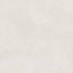 Керамический гранит Иней светло--серый  (6461-0409) 60*60 (1,8м2 / 54м2) (8мм)