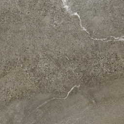 Керамический гранит Гроза бежево-коричневый (6461-0423) 60*60 (1,8м2 / 54м2) (8мм)