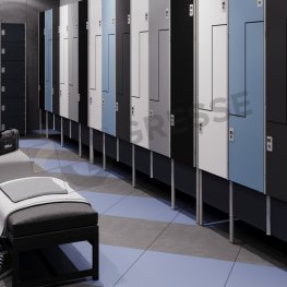 Sigiriya / Сигирия