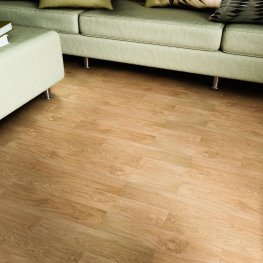 Борнео / Borneo