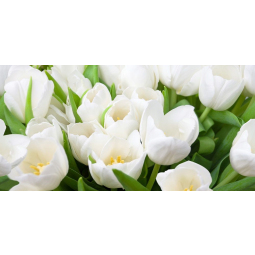 Декор Элара Верде Триумф 40,5*20,1 