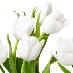 Панно Элара Верде Триумф 40,5*40,2 