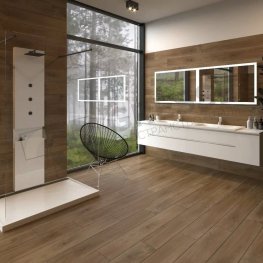 Ajanta / Ажанта