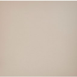 Керамогранит Профи капучино (GT028М) 600*600*10 