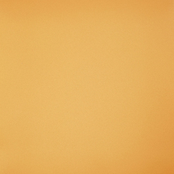 Керамогранит Профи янтарь (GT061М) 600*600*10  