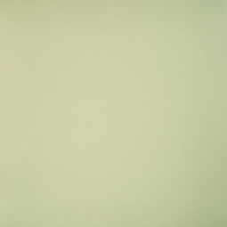 Керамогранит Профи св-зеленый (GT079М) 600*600*10  