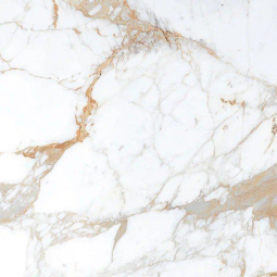 Керамогранит ROMAN BROWN (GLOSSY) 60*60 (1,442/57,6м2) (8,8мм)