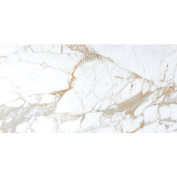 Керамогранит ROMAN BROWN (AUTHENTIC)  60 х 120 (1,44м2/ 43,2м2) (8,8мм)